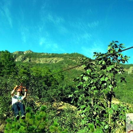 Rocavenados Villa Mascota Dış mekan fotoğraf